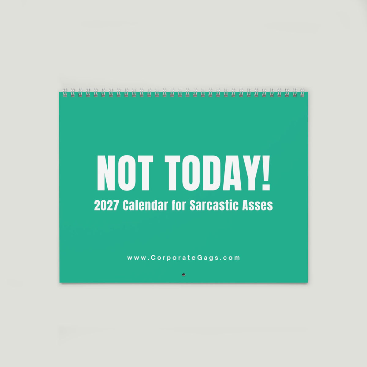 NOT TODAY! 2027 Unfiltered Wall Calendar